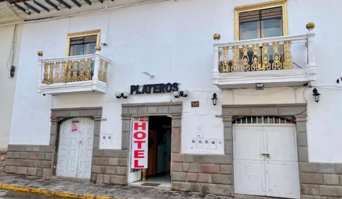 Hotel Plateros