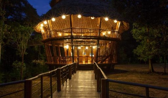 Treehouse Lodge