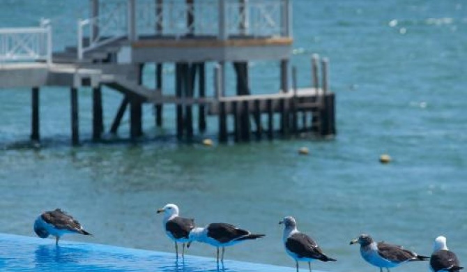 Apartamento Frente a Islas Ballestas