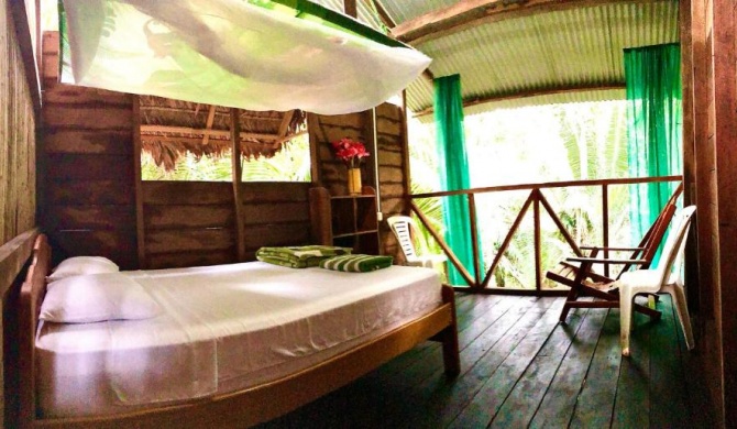 Tambopata Amazon Lodge & Expeditions